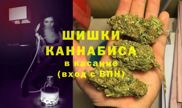 ГАЛЛЮЦИНОГЕННЫЕ ГРИБЫ Майский
