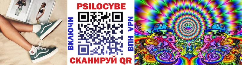 купить наркотик  Малмыж  Галлюциногенные грибы Cubensis 